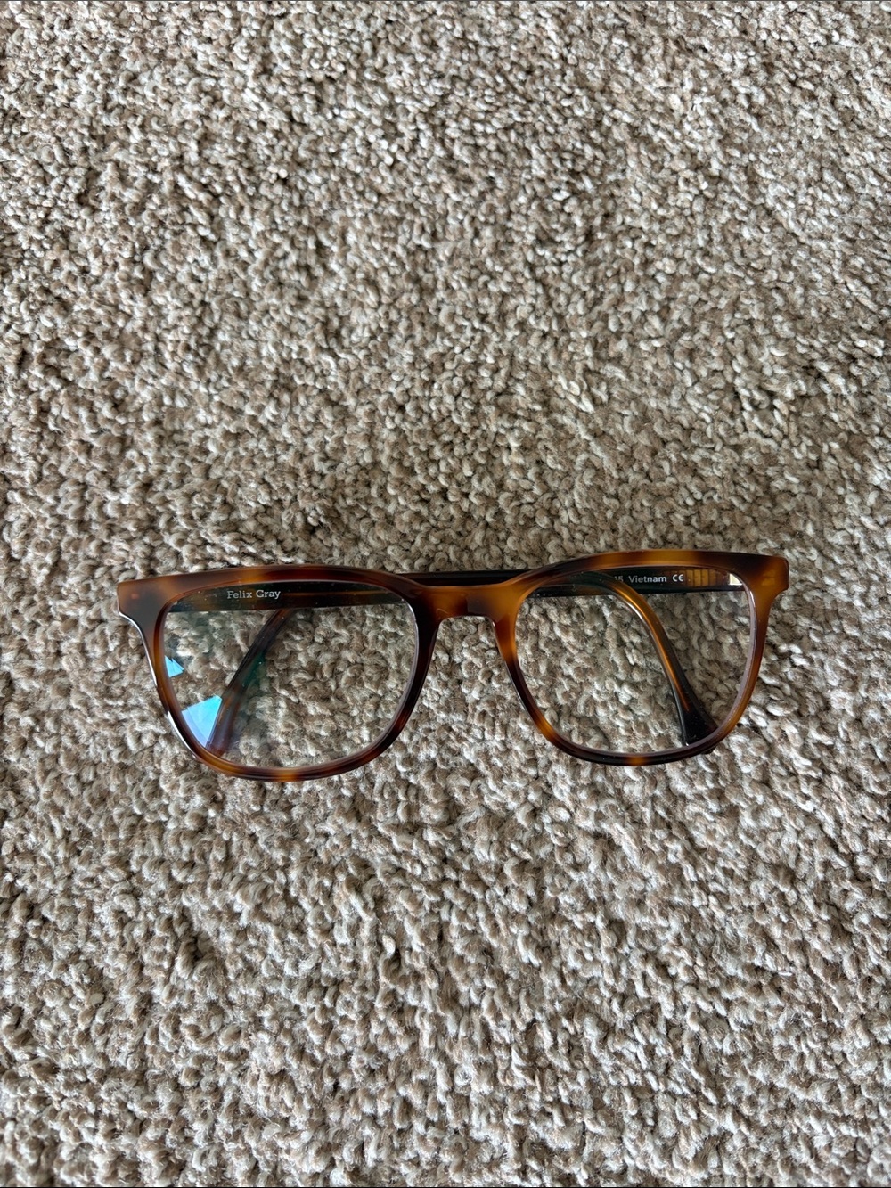 Felix Gray Hard Eyeglass Case in Deep Teal